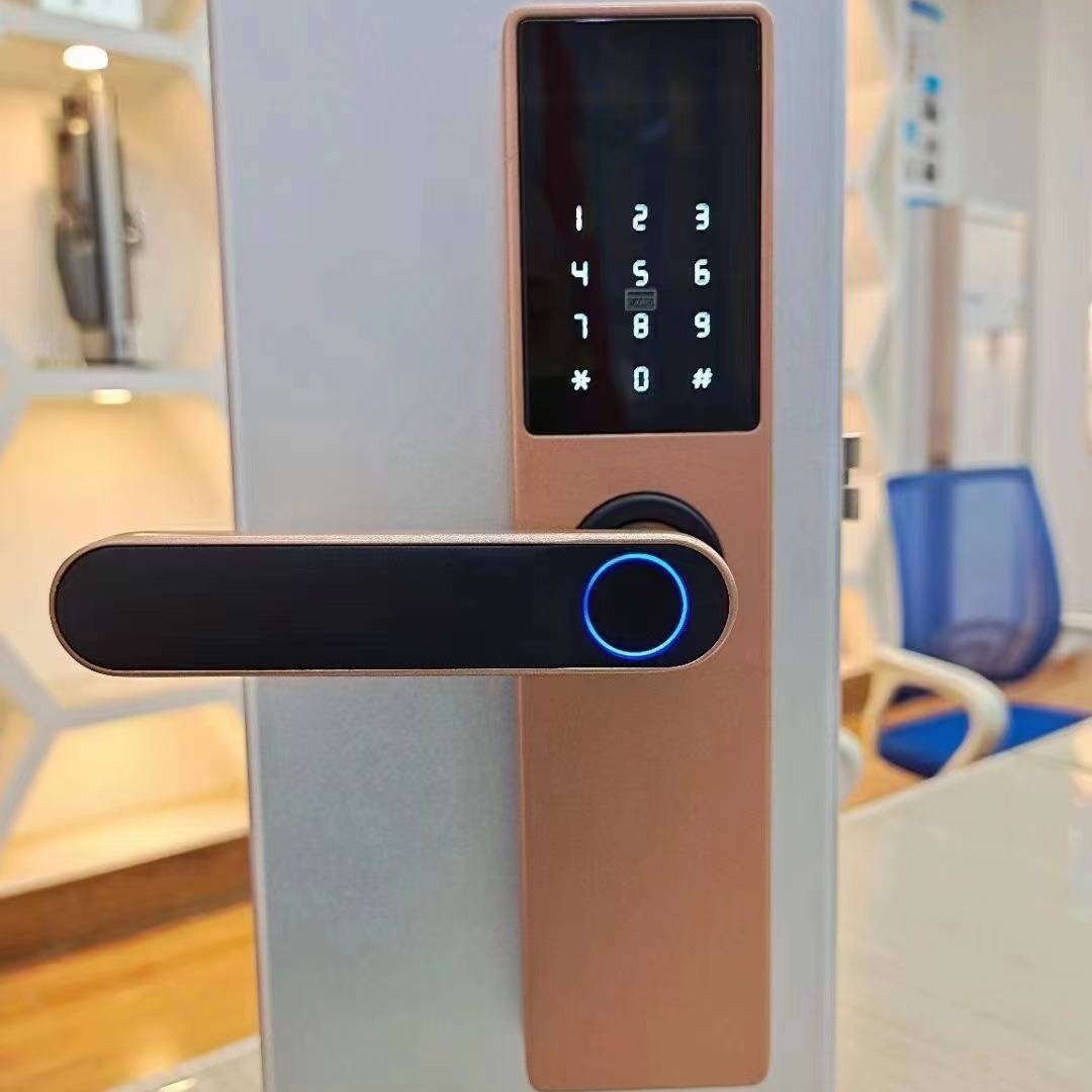 Fingerprint Lock Graffiti Pass