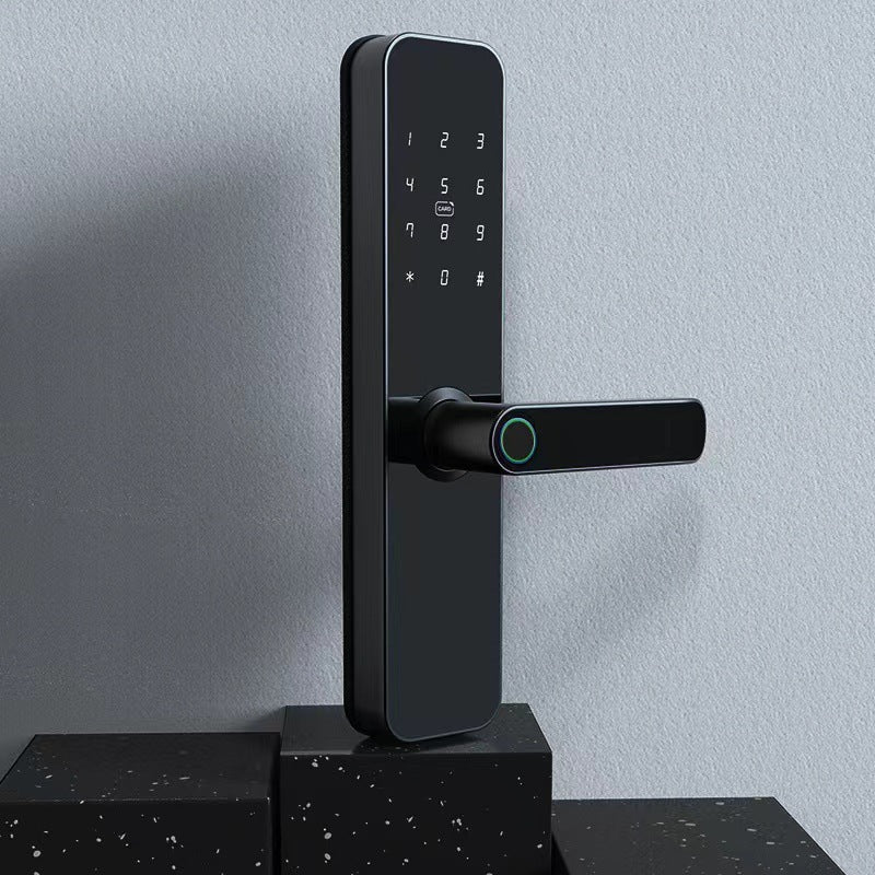 Fingerprint Lock Graffiti Pass