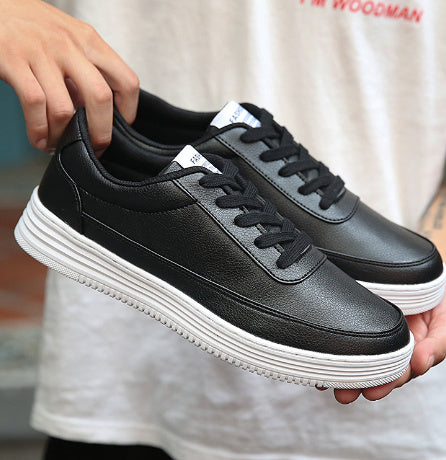 Light Casual Sneakers (M)