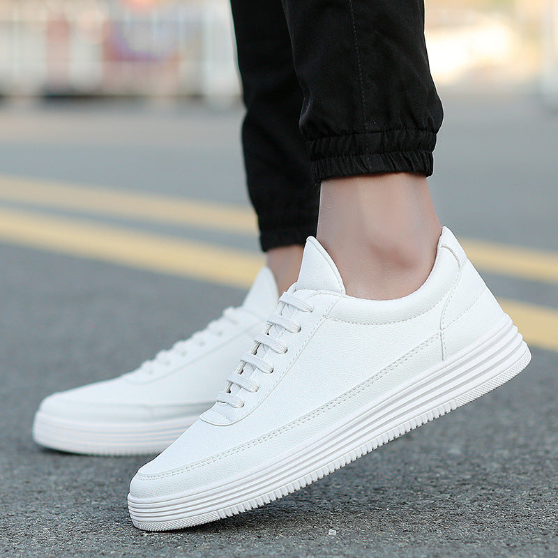 British autumn Sneaker