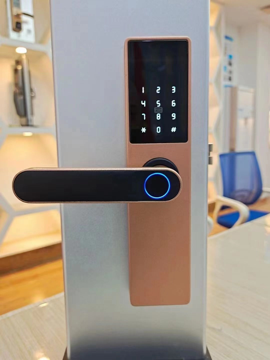 Fingerprint Lock Graffiti Pass