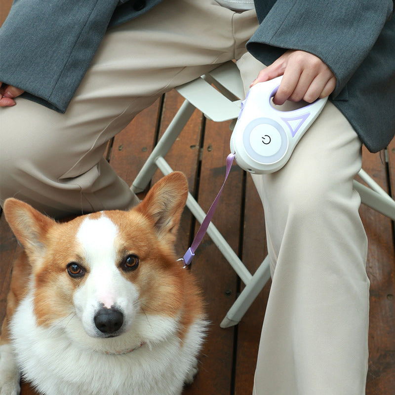 Dog Leash Retractable Leash Collar